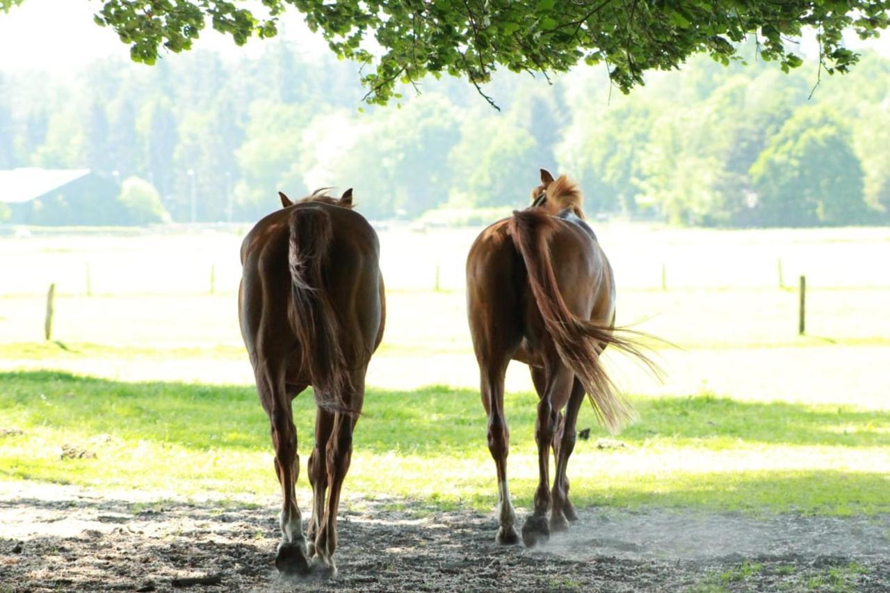 Boerderij De Enkhoeve Laag-Soeren Eksteriør billede