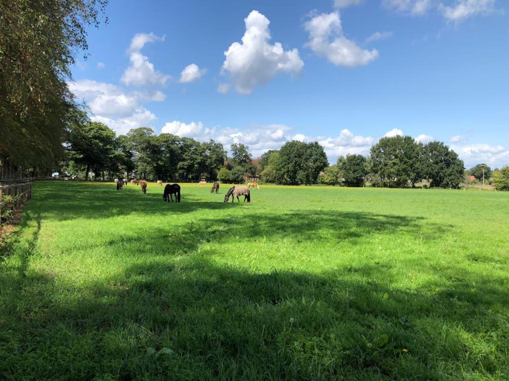 Boerderij De Enkhoeve Laag-Soeren Eksteriør billede